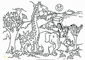 Wild Animals Coloring Pages Pdf forest Animal Coloring Pages Printable forest Animal Coloring Pages