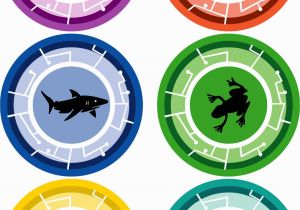 Wild Kratts Creature Power Discs Coloring Pages Lots Of Resolutions and Creature Facts Power Disks 1