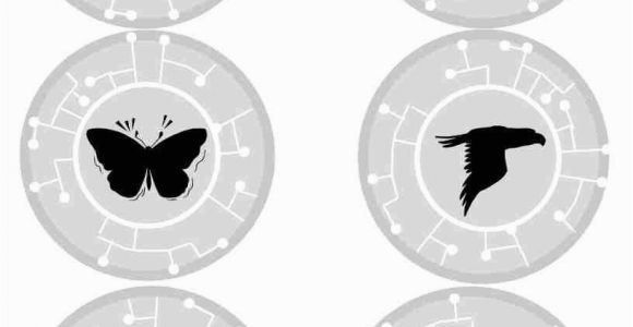 Wild Kratts Creature Power Discs Coloring Pages Wild Kratts On Pinterest