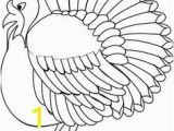 Wild Turkey Coloring Page 34 Best Turkey Images