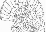 Wild Turkey Coloring Page 56 Best Turkey Drawing Images