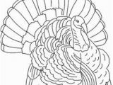 Wild Turkey Coloring Page 56 Best Turkey Drawing Images