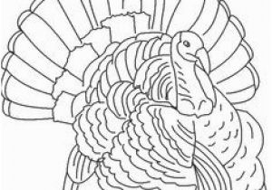 Wild Turkey Coloring Page 56 Best Turkey Drawing Images