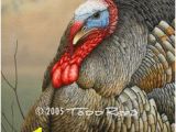 Wild Turkey Wall Murals 19 Best Wild Turkey Images