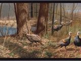 Wild Turkey Wall Murals Turkey Wallpaper Border