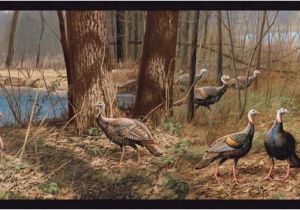 Wild Turkey Wall Murals Turkey Wallpaper Border