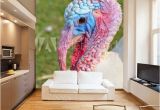 Wild Turkey Wall Murals Ugly Turkey Head Turkey Wall Mural