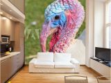 Wild Turkey Wall Murals Ugly Turkey Head Turkey Wall Mural