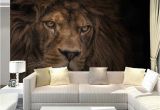 Wildlife Wallpaper Murals Wallpaper Custom 3d Stereo Hd Wildlife Lion Backdrop Wall