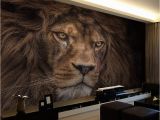 Wildlife Wallpaper Murals Wallpaper Custom 3d Stereo Hd Wildlife Lion Backdrop Wall