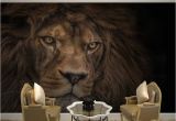 Wildlife Wallpaper Murals Wallpaper Custom 3d Stereo Hd Wildlife Lion Backdrop Wall