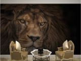 Wildlife Wallpaper Murals Wallpaper Custom 3d Stereo Hd Wildlife Lion Backdrop Wall