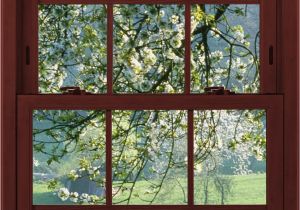 Window Illusion Murals Cherry Blossoms 1 Of 3 Faux Window Illusion