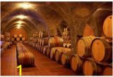 Wine Cellar Wall Mural Architectural Murals at Magicmurals