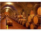 Wine Cellar Wall Mural Architectural Murals at Magicmurals