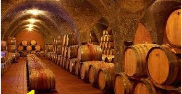 Wine Cellar Wall Mural Architectural Murals at Magicmurals