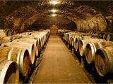 Wine Cellar Wall Mural Best 48 Wine Cellar Desktop Background On Hipwallpaper