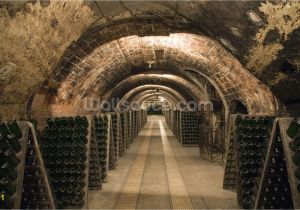 Wine Cellar Wall Mural Best 48 Wine Cellar Desktop Background On Hipwallpaper