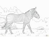 Wings Of Fire Dragon Coloring Pages Best Coloring Zebra Animals U Printable Unique Pages for