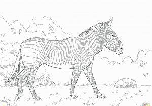 Wings Of Fire Dragon Coloring Pages Best Coloring Zebra Animals U Printable Unique Pages for