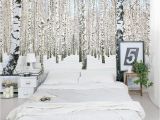 Winter forest Wall Mural 49 ] Tree Wallpaper Mural On Wallpapersafari