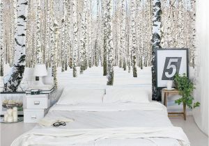 Winter forest Wall Mural 49 ] Tree Wallpaper Mural On Wallpapersafari