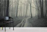 Winter forest Wall Mural Black and White forest Path Mural