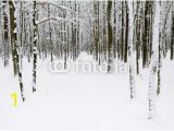 Winter forest Wall Mural Winter forest Mother Wall Mural