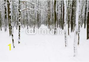 Winter forest Wall Mural Winter forest Mother Wall Mural