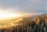 Winter forest Wall Mural Winter forest Snow with A Warm Sunset On the Misty Air