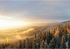 Winter forest Wall Mural Winter forest Snow with A Warm Sunset On the Misty Air