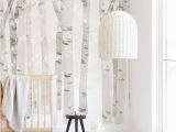 Winter Wonderland Wall Mural Birch Woods In Winter" Removable Wall Mural Art by Four Wet