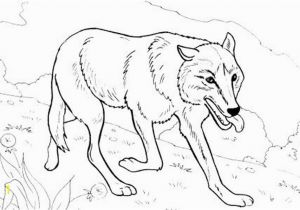 Wolf Coloring Pages for Adults S S Media Cache Ak0 Pinimg 736x Af 0d 99 for Coloring Free Wolf