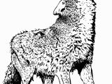 Wolf Coloring Pages to Print Out Free Wolf Coloring Pages