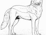 Wolf Coloring Pages to Print Out Free Wolf Coloring Pages