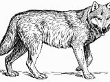 Wolf Coloring Pages to Print Out Wolves for Coloring