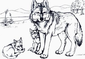 Wolf Face Coloring Page 60 Lovely Wolf Coloring Pages Printable