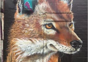Wolf Of Wall Street Mural Ethiopian Wolf