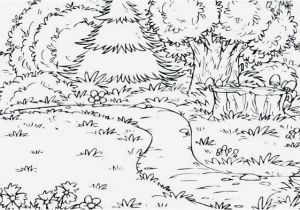 Woodland Animal Coloring Pages forest Coloring Pages Best Print Coloring Pages Luxury S S Media