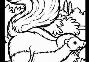 Woodland Animal Coloring Pages Pin by Pam Houle On Crafts Coloring Pages Pinterest