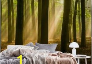 Woodland Wall Murals Wallpaper 233 Best forest Wall Murals Images In 2019