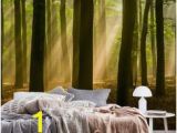 Woodland Wallpaper Murals 233 Best forest Wall Murals Images In 2019
