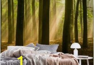 Woodland Wallpaper Murals 233 Best forest Wall Murals Images In 2019