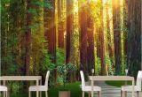 Woodland Wallpaper Murals 3d Custom Mural Wallpaper Wall Painting Sunny forest Graphy