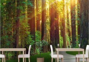 Woodland Wallpaper Murals 3d Custom Mural Wallpaper Wall Painting Sunny forest Graphy