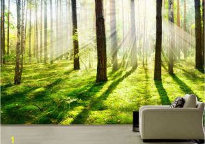 Woodland Wallpaper Murals Morning forest Fog Wall Mural Picture Wall Paper Repositionable