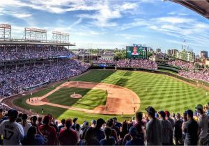 Wrigley Field Ivy Wall Mural 10 Famous Historical Places From Chicago S Past Time