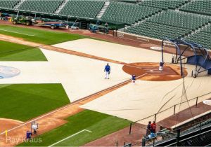 Wrigley Field Ivy Wall Mural Schedule Archives 4bases4kids