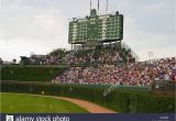 Wrigley Field Ivy Wall Mural Wrigley Field Fans Stock S & Wrigley Field Fans Stock