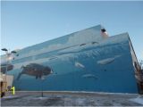 Wyland Murals Robert Wyland 54th Whaling Wall Jc Penny Bldg Anchorage Ak